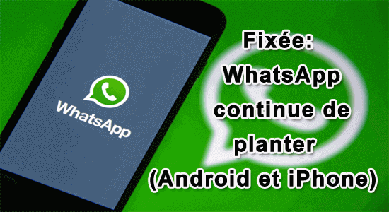 Fixée: WhatsApp continue de planter (Android et iPhone)